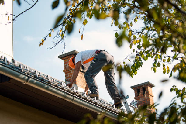 Quick and Trustworthy Emergency Roof Repair Services in Morgantown, MS