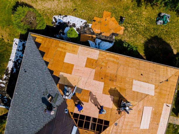 Best Gutter Installation and Roofing  in Morgantown, MS