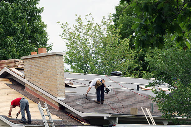 Best Roof Repair Services  in Morgantown, MS