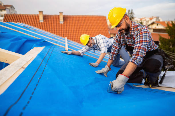 Best New Roof Installation  in Morgantown, MS